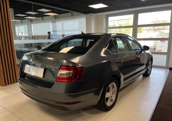 Skoda Octavia cena 69900 przebieg: 97878, rok produkcji 2019 z Łobżenica małe 352